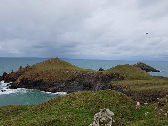 The Rumps