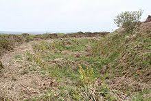 Caer Bran