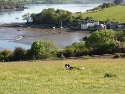 Churchtown Farm Community Nature Reserve