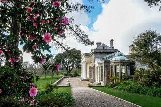 Trelissick