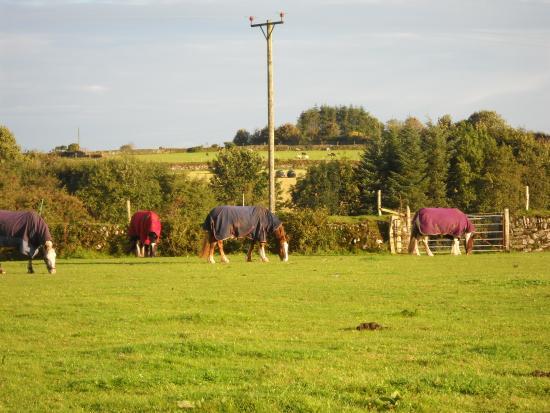 Hallagenna Farm