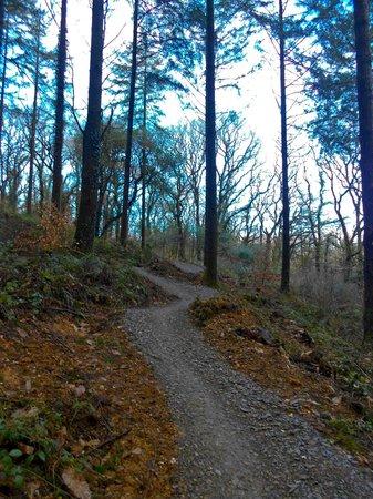 Lanhydrock Cycle Hub