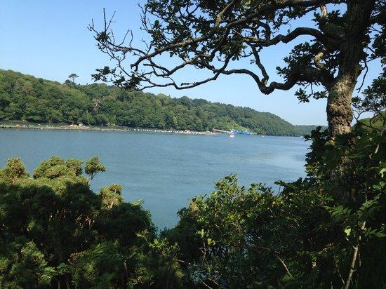 7th Rise Cornwall