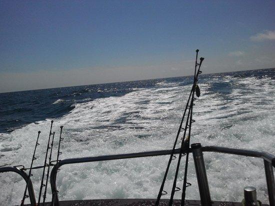 Viking Charters