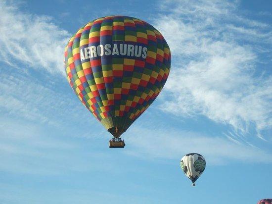 Aerosaurus Balloons - Tours