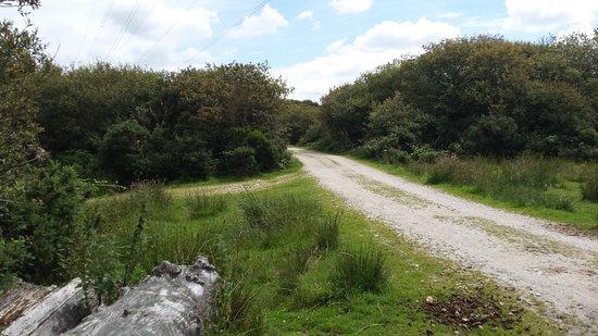 Goss Moor Multi-Use Trail