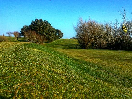 Ivyleaf Golf Course and Driving Range