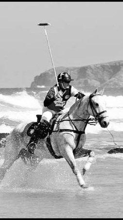 Southwest Polo