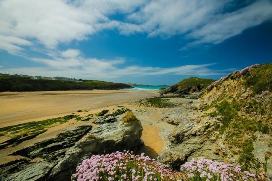 Newquay Football Golf