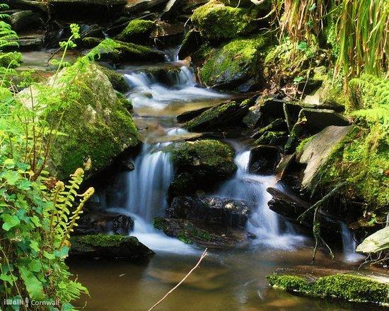 Trebarwith Valley Circular Walk