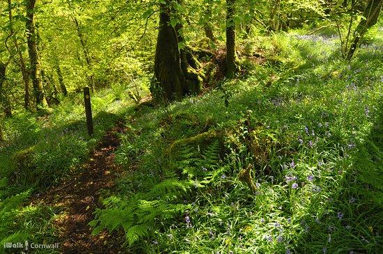 St Neot Two Valleys