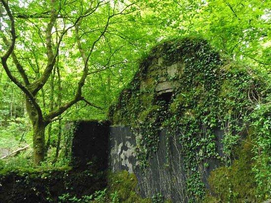 Kennall Vale