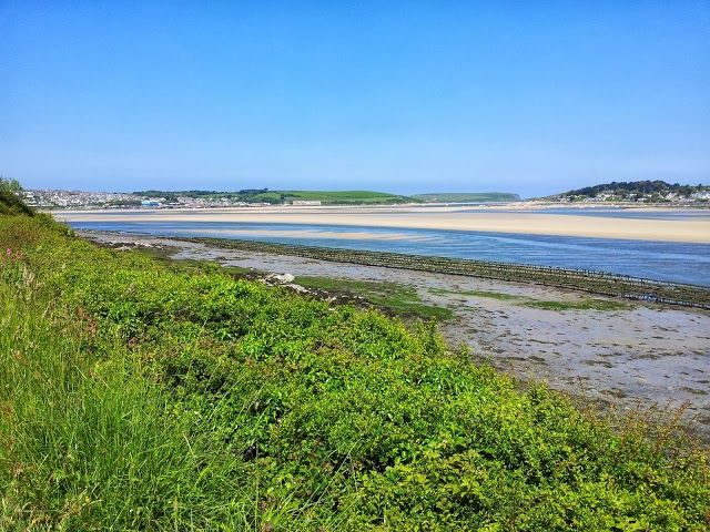 Camel Trail Cycle Hire