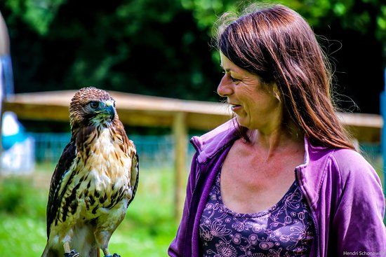Bird Lady of Fowey