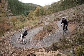 Cardinham Woods